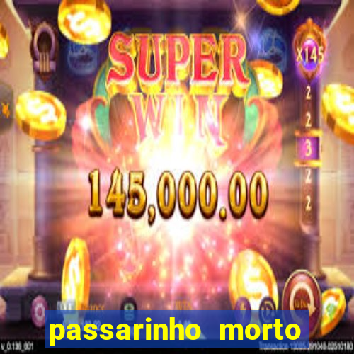 passarinho morto significado espiritual